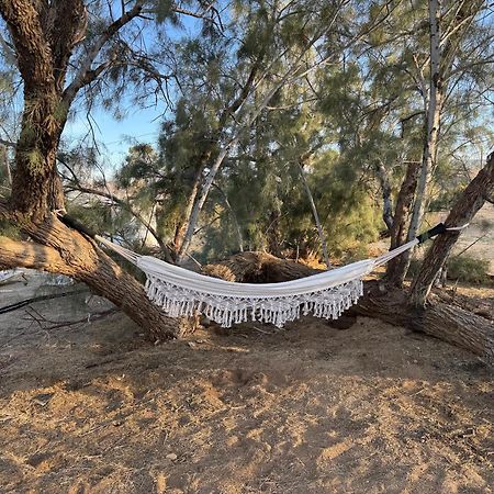 Casa Agave: Comfy Joshua Tree Cottage With Free Breakfast Bar Eksteriør billede