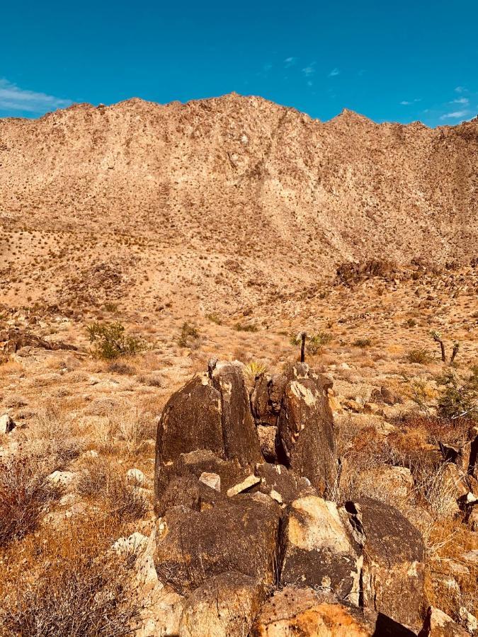 Casa Agave: Comfy Joshua Tree Cottage With Free Breakfast Bar Eksteriør billede