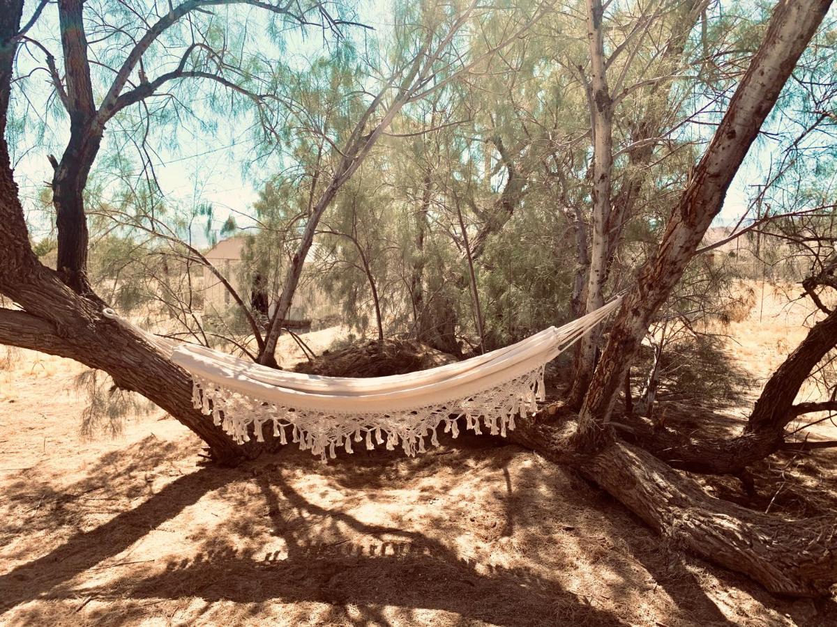 Casa Agave: Comfy Joshua Tree Cottage With Free Breakfast Bar Eksteriør billede