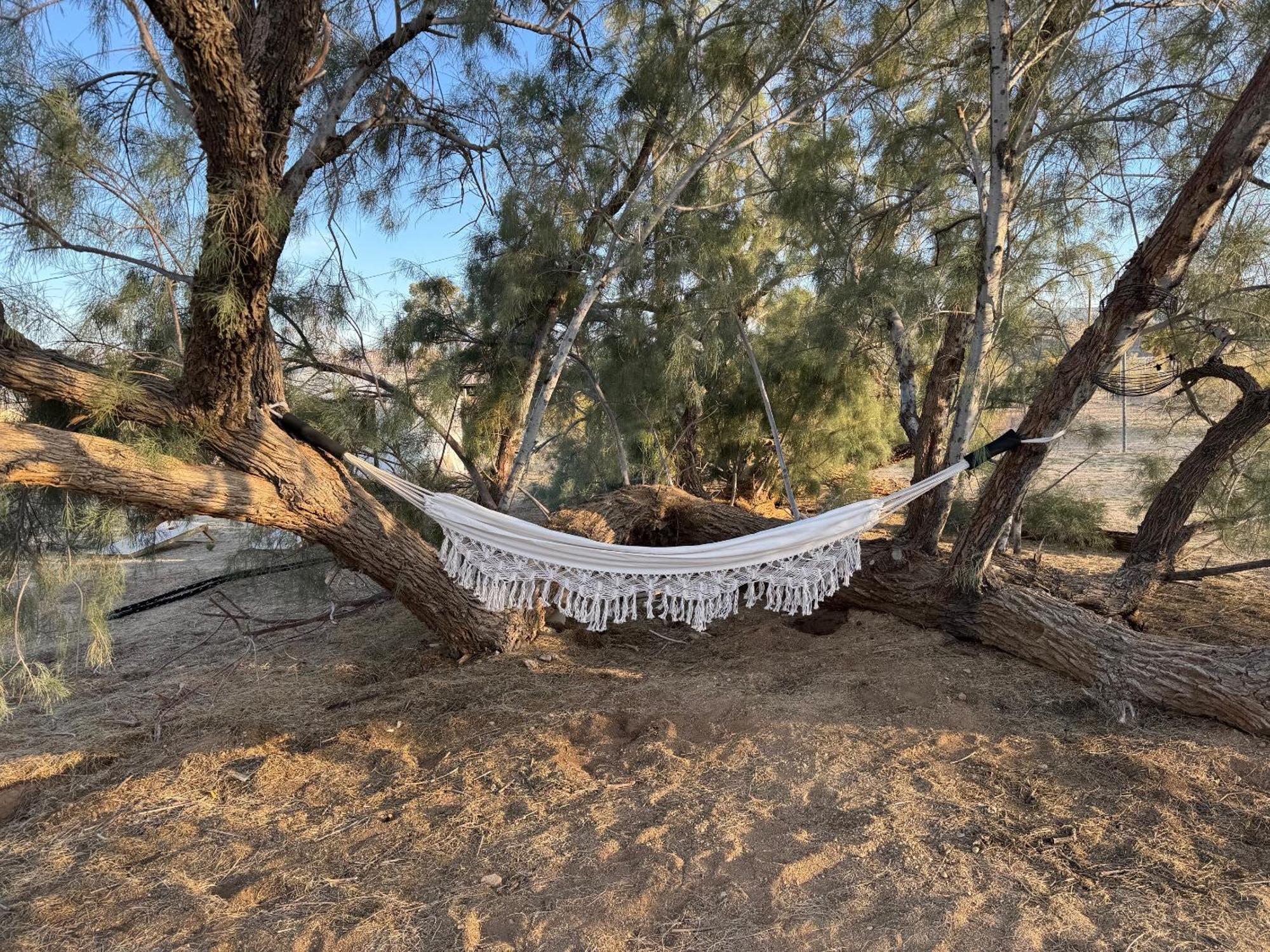 Casa Agave: Comfy Joshua Tree Cottage With Free Breakfast Bar Eksteriør billede